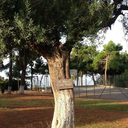 Halkidiki Trikorfo Luxury Maisonette * Gerakini